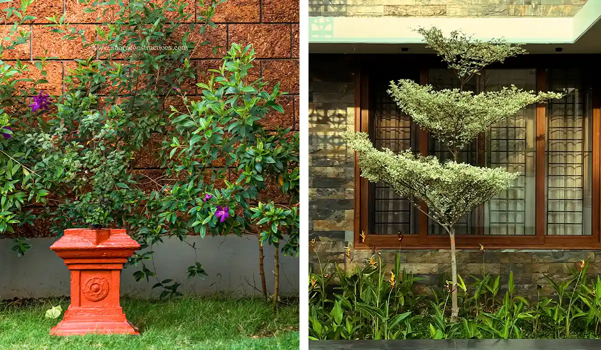 landscaping and garden design